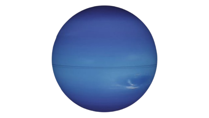 Neptunus